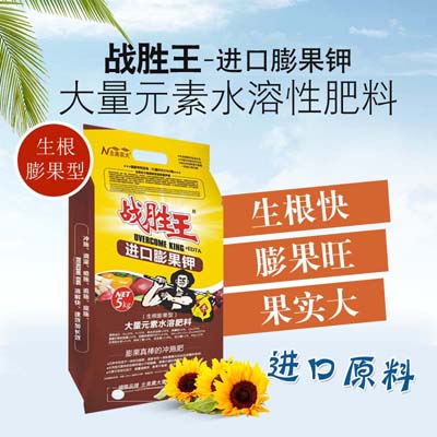 北美農(nóng)大教你如何在南瓜膨大期施壯瓜肥