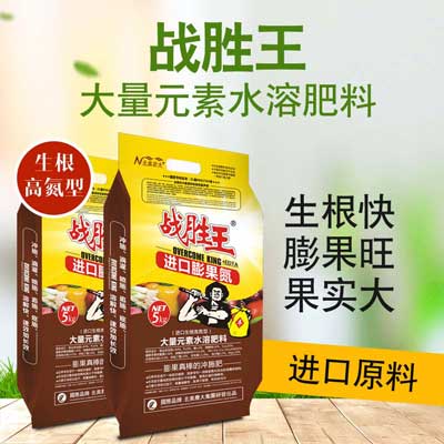 種植白術用什么水溶肥好?
