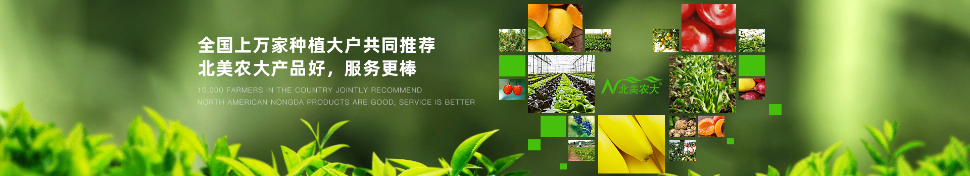 種植大戶共同推薦,北美農(nóng)大產(chǎn)品好,服務更棒